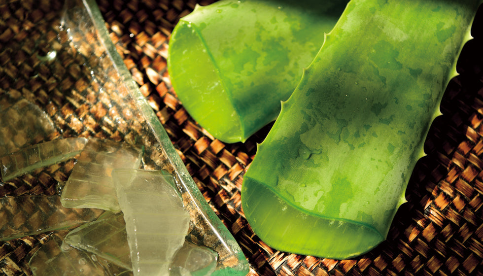 【7/1～9/30】Club Spa Recommendation - Midsummer 2026 -