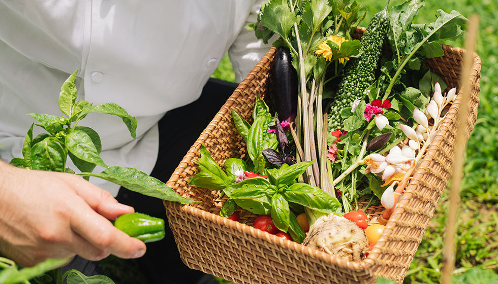 【3/14～3/28】Our Farm to Table ＆Spa　自家農園の恵みに満たされる、癒しと美食のひと時＜終了しました＞