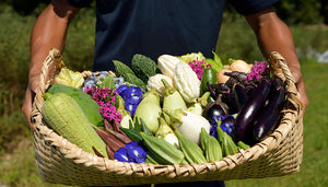 【3/20、3/21開催】ジ・アッタテラス クラブタワーズ　テラスの収穫祭