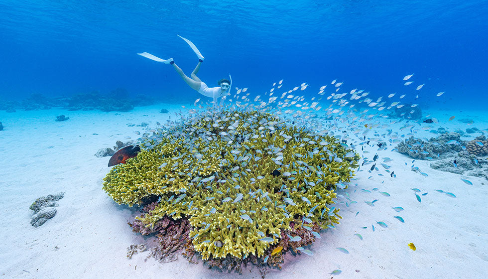 新ホテル「アカロッジ by ザ・テラスホテルズ」の公式ティザーサイトを開設いたしました