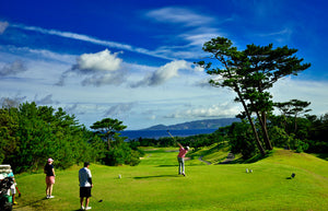 Golf Course Tour & Mini Golf Experience