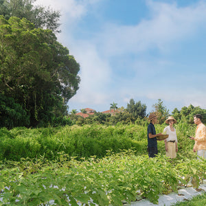 画像：Our Farmツアー