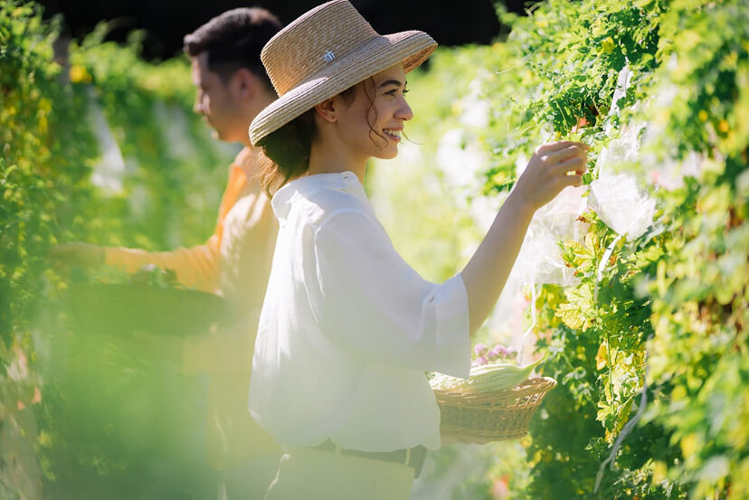 画像：Our Farmツアー