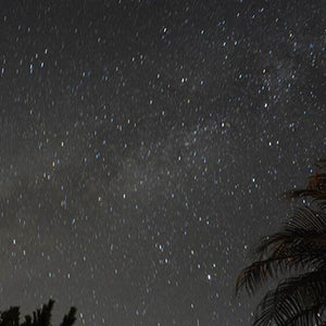 ガーデンプラネタリウム